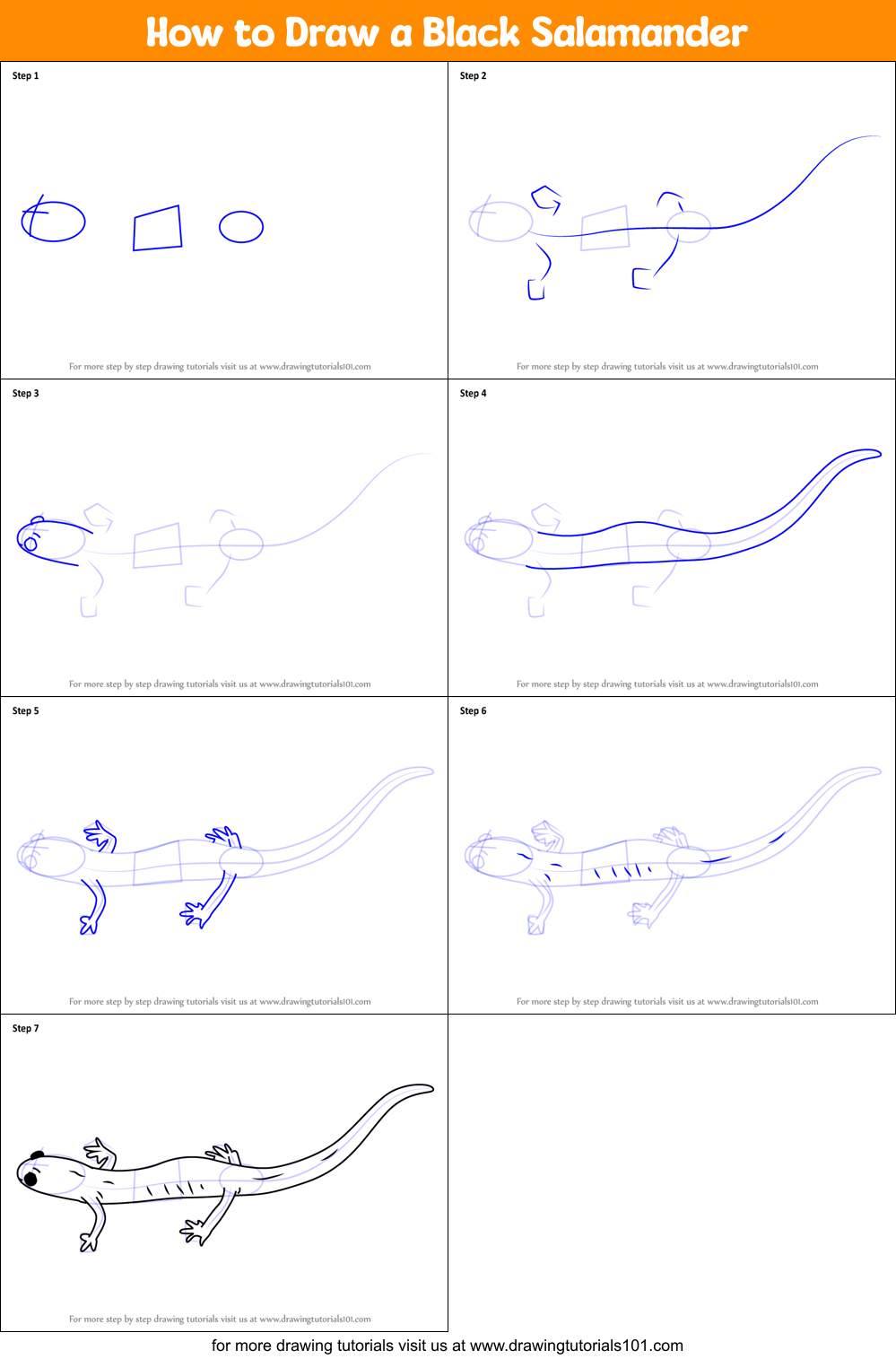 How to Draw a Black Salamander printable step by step drawing sheet ...