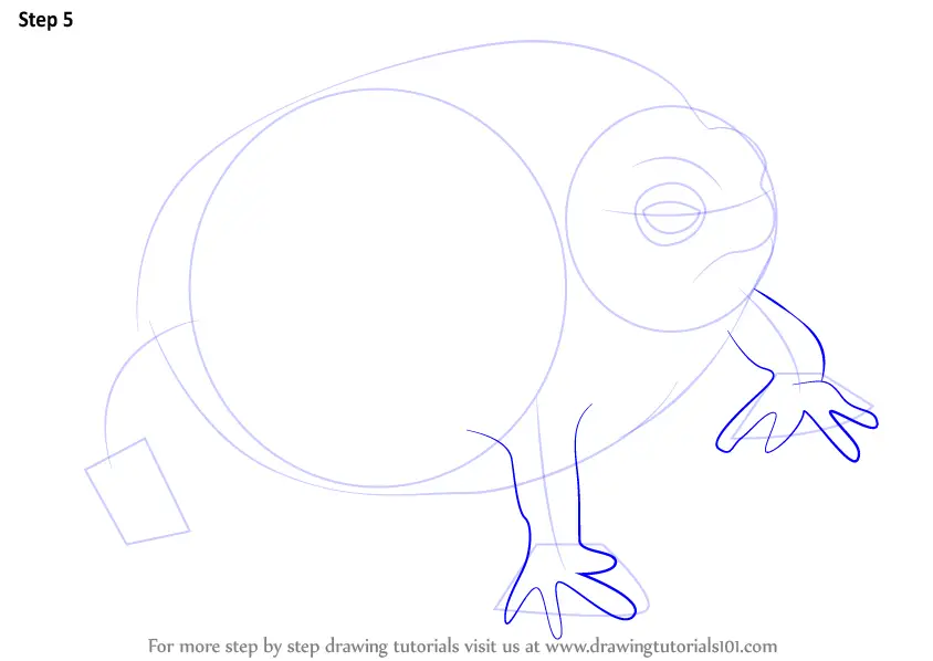 Learn How to Draw a Desert Rain Frog (Amphibians) Step by Step