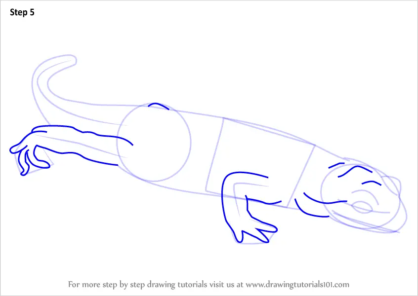 Step By Step How To Draw A Fire Salamander : Drawingtutorials101.com