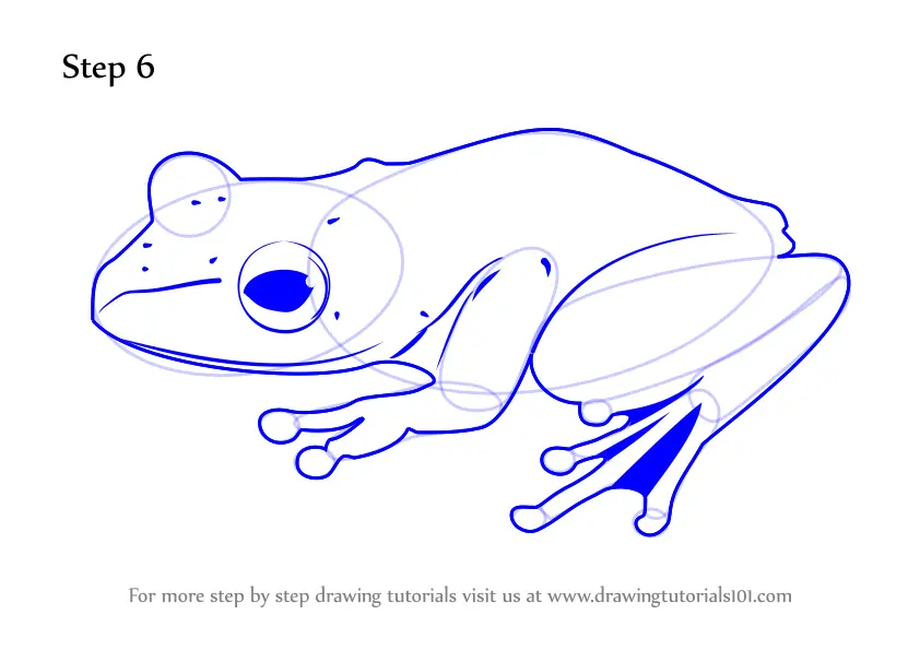 Learn How to Draw a Frog (Amphibians) Step by Step Drawing Tutorials