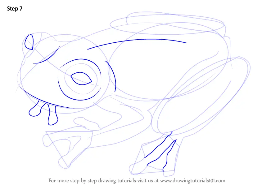 Learn How to Draw a Glass Frog (Amphibians) Step by Step : Drawing ...