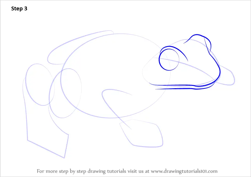 Learn How to Draw a Spotted Marsh frog (Amphibians) Step by Step ...