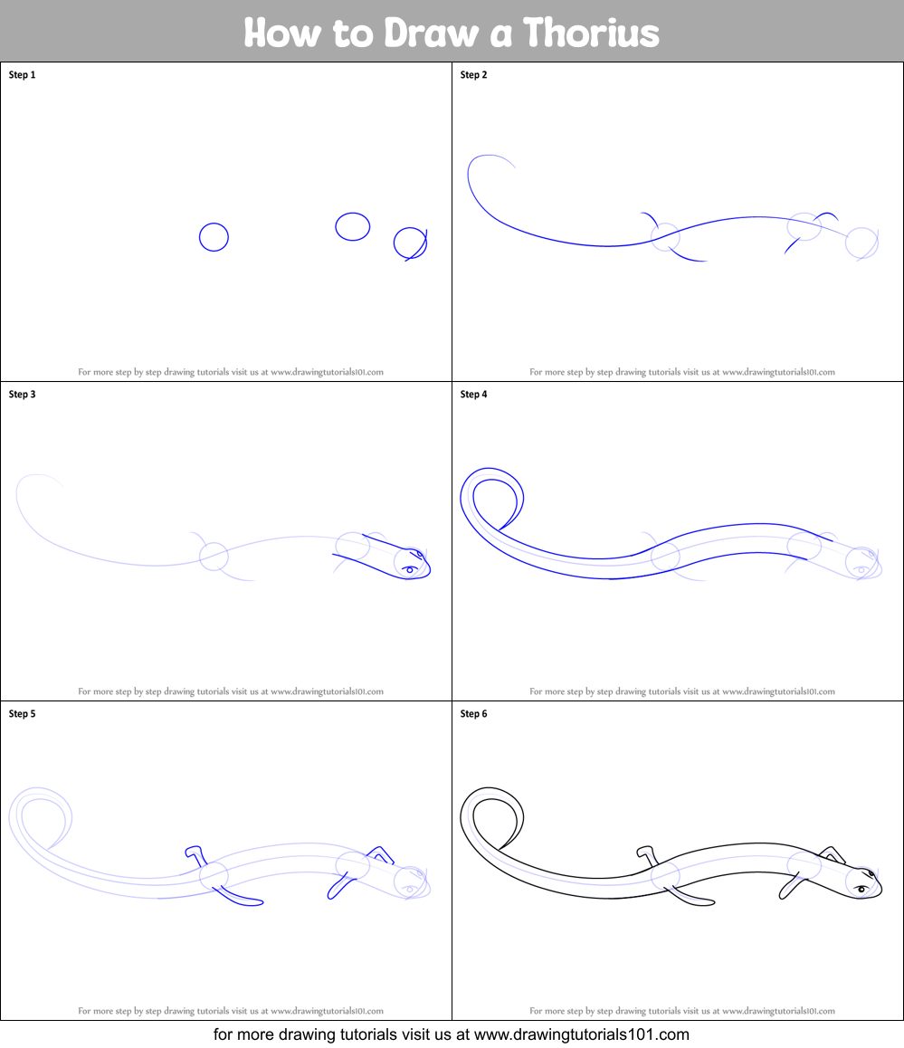 How to Draw a Thorius printable step by step drawing sheet ...