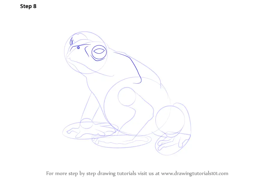 Learn How to Draw a Toad (Amphibians) Step by Step : Drawing Tutorials