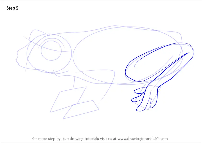 Learn How to Draw a Tree Frog (Amphibians) Step by Step : Drawing Tutorials