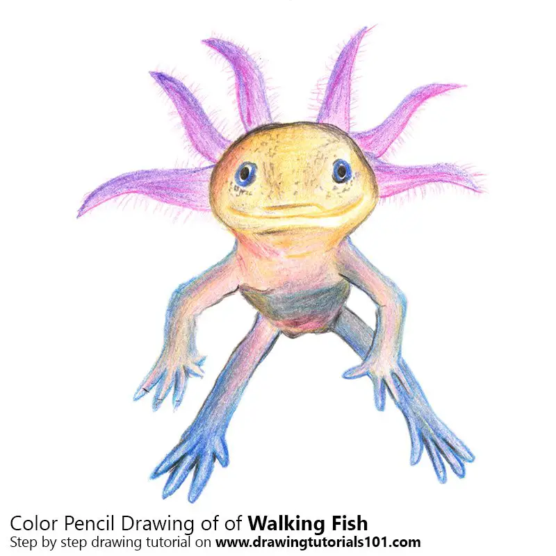 Walking Fish Color Pencil Drawing
