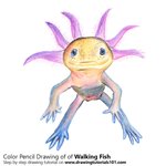 How to Draw a Walking Fish