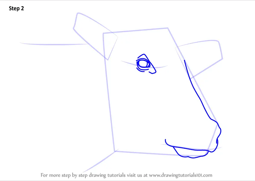 Learn How to Draw a Cow Face (Animal Faces) Step by Step : Drawing