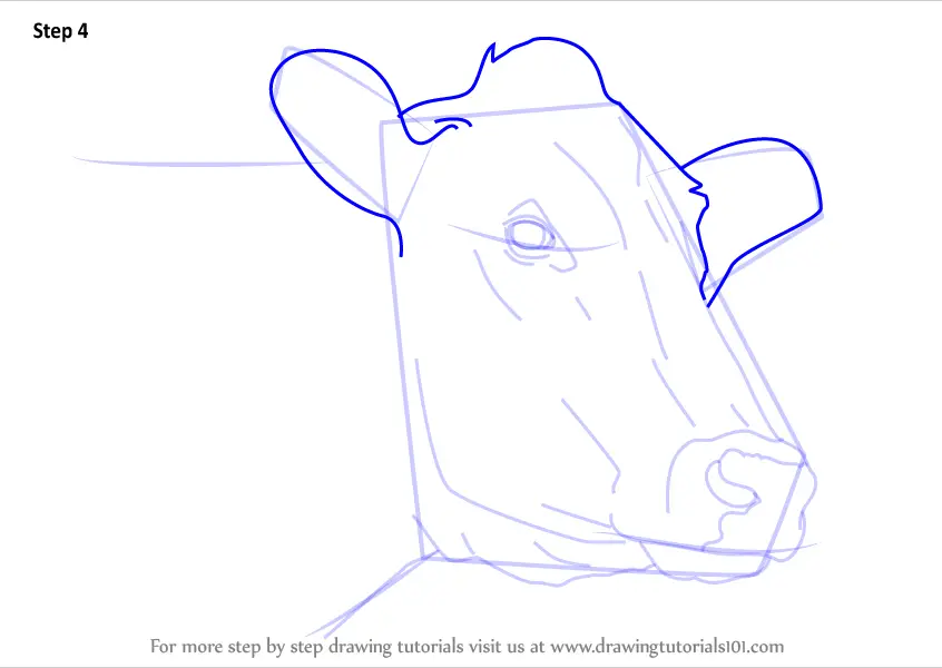 Learn How to Draw a Cow Face (Animal Faces) Step by Step : Drawing