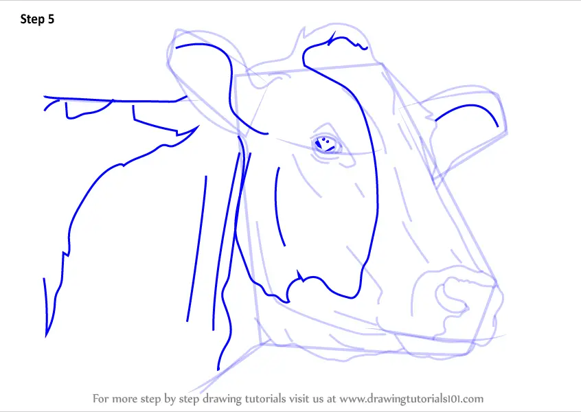 Learn How to Draw a Cow Face (Animal Faces) Step by Step : Drawing