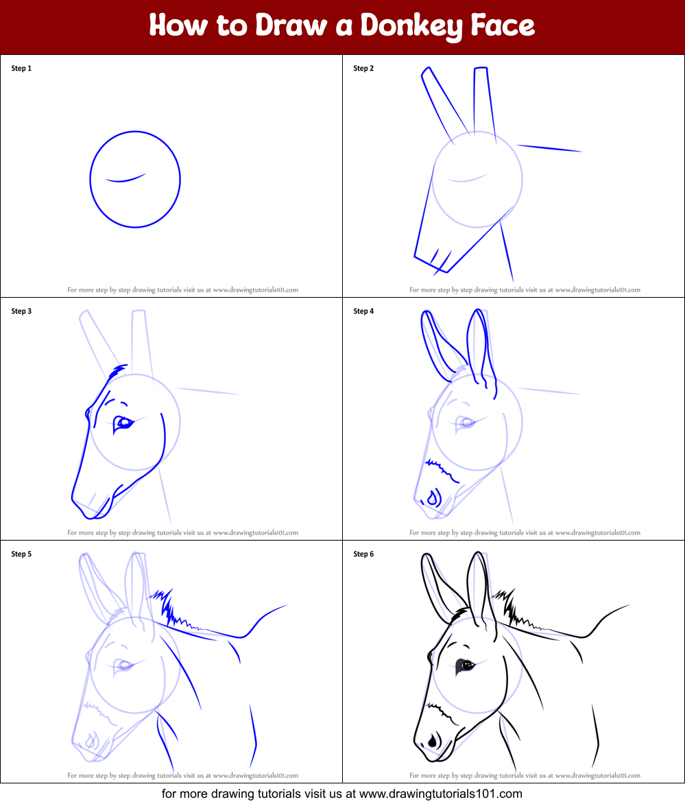 How to Draw  a Donkey Face  printable step  by step  drawing  