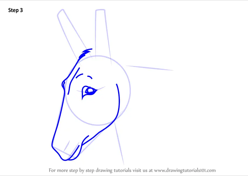 Learn How to Draw a Donkey Face (Animal Faces) Step by Step : Drawing