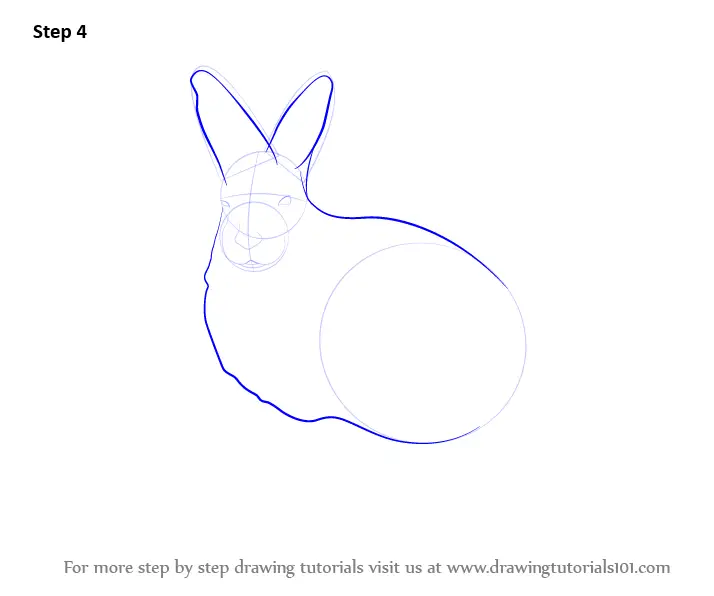 Learn How to Draw a Arctic Hare (Antarctic Animals) Step by Step