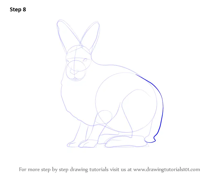Learn How to Draw a Arctic Hare (Antarctic Animals) Step by Step ...