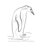How to Draw an Emperor Penguin