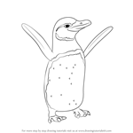 How to Draw a Galapagos Penguin
