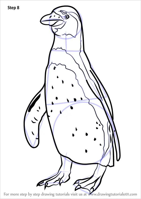Learn How to Draw Penguin Standing Antarctic Animals Step by Step 