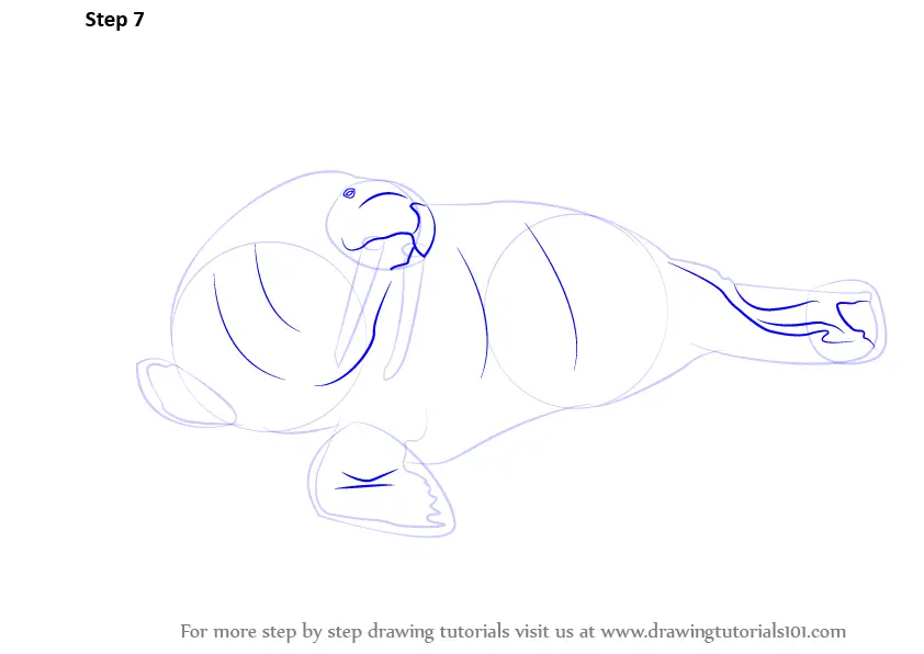 Learn How to Draw a Walrus (Antarctic Animals) Step by Step : Drawing