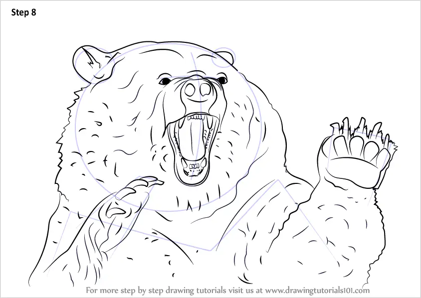 grizzly bear cartoon drawing