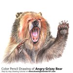 How to Draw an Angry Grizzly Bear