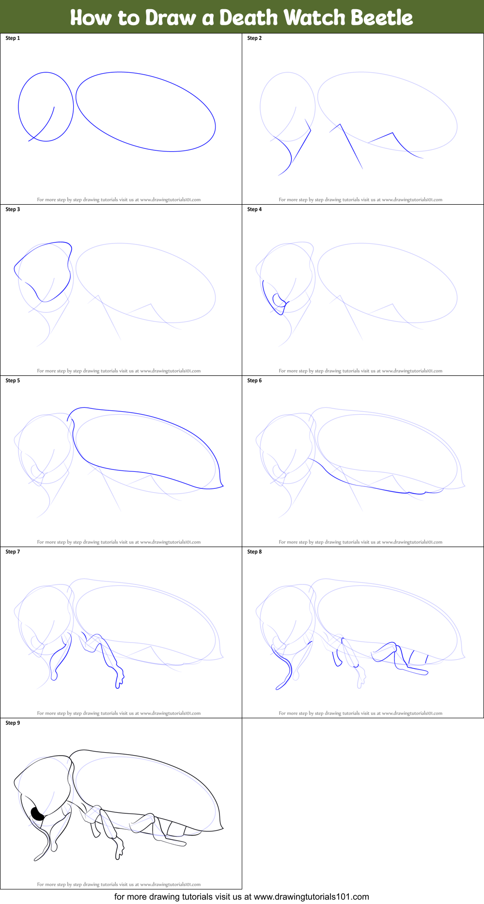 How to Draw a Death Watch Beetle printable step by step drawing sheet ...