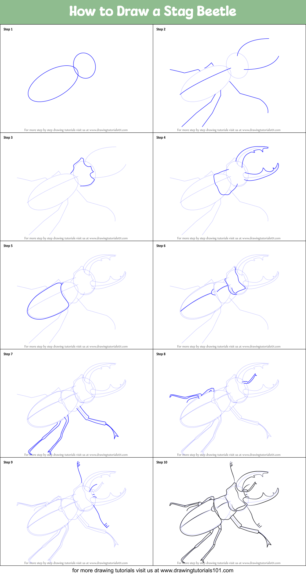 How to Draw a Stag Beetle printable step by step drawing sheet ...