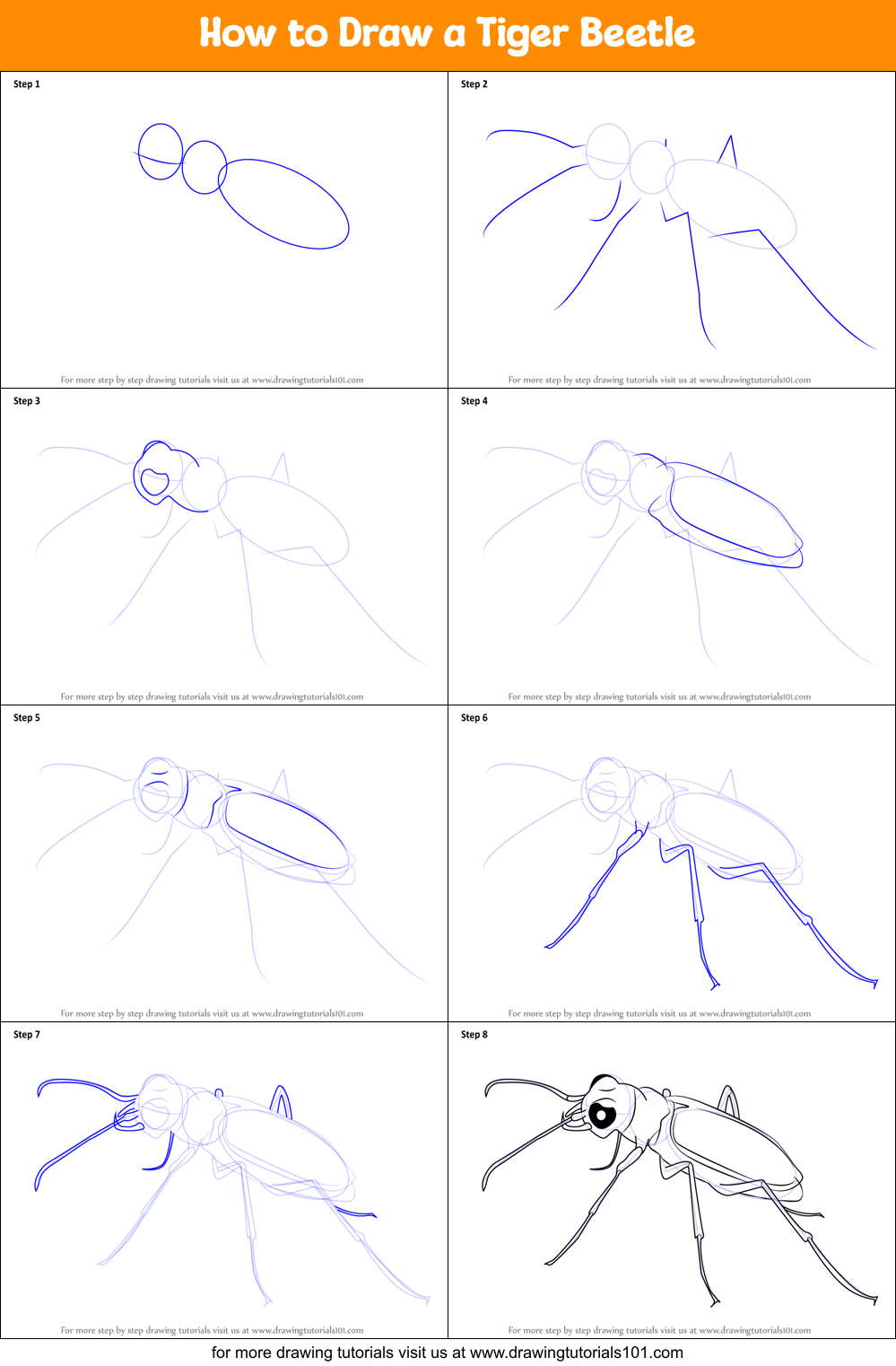 How to Draw a Tiger Beetle printable step by step drawing sheet ...