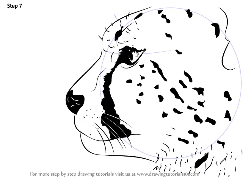 Learn How to Draw a Cheetah's Head (Big Cats) Step by Step : Drawing ...