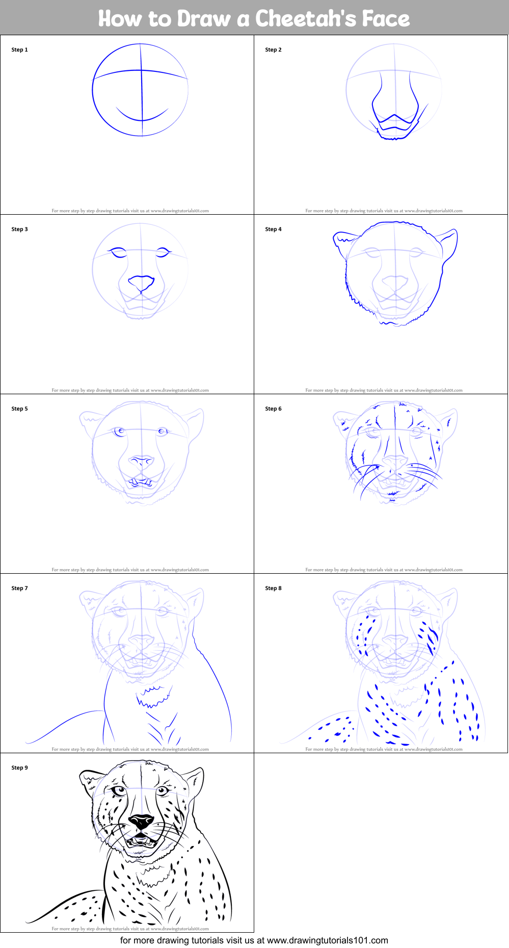How to Draw a Cheetah's Face printable step by step