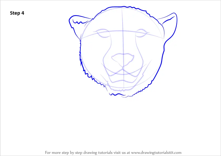 Learn How To Draw A Cheetah S Face Big Cats Step By Step Drawing Tutorials