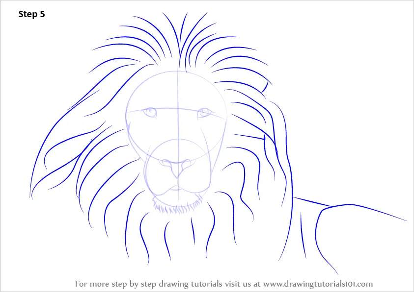 Learn How to Draw a Lion's Face (Big Cats) Step by Step : Drawing Tutorials