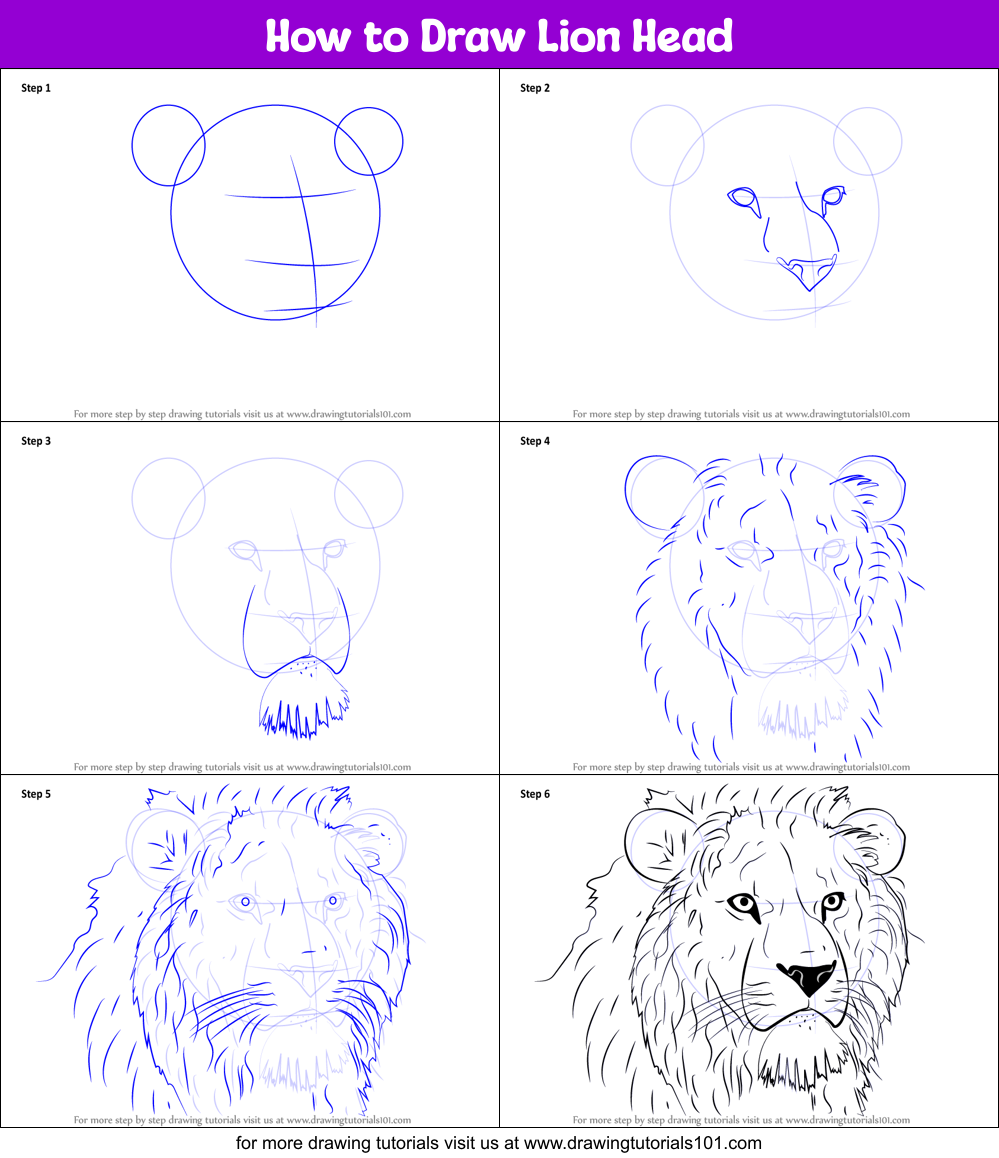 How to Draw Lion Head printable step by step drawing sheet