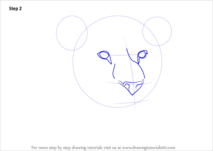 Learn How to Draw Lion Head (Big Cats) Step by Step : Drawing Tutorials