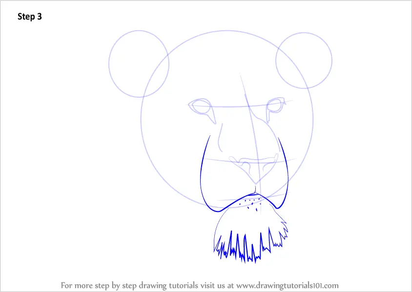 Learn How to Draw Lion Head (Big Cats) Step by Step : Drawing Tutorials