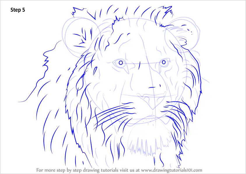 Learn How to Draw Lion Head (Big Cats) Step by Step : Drawing Tutorials