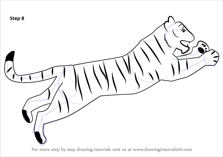 Step by Step How to Draw a Tiger for Kids