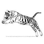 How to Draw a Tiger Jumping