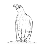 How to Draw an Eagle Sitting