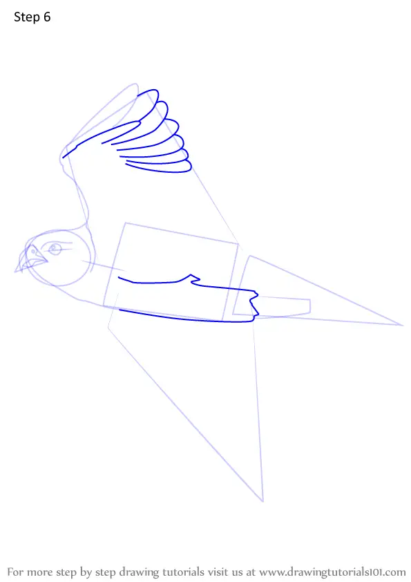 Learn How to Draw Flying Peregrine Falcon (Bird of prey) Step by Step
