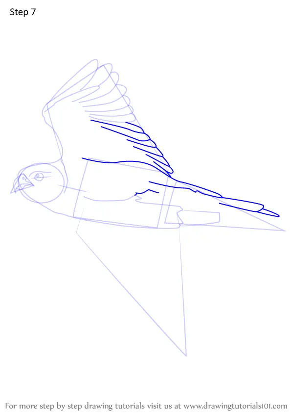 Learn How to Draw Flying Peregrine Falcon (Bird of prey) Step by Step