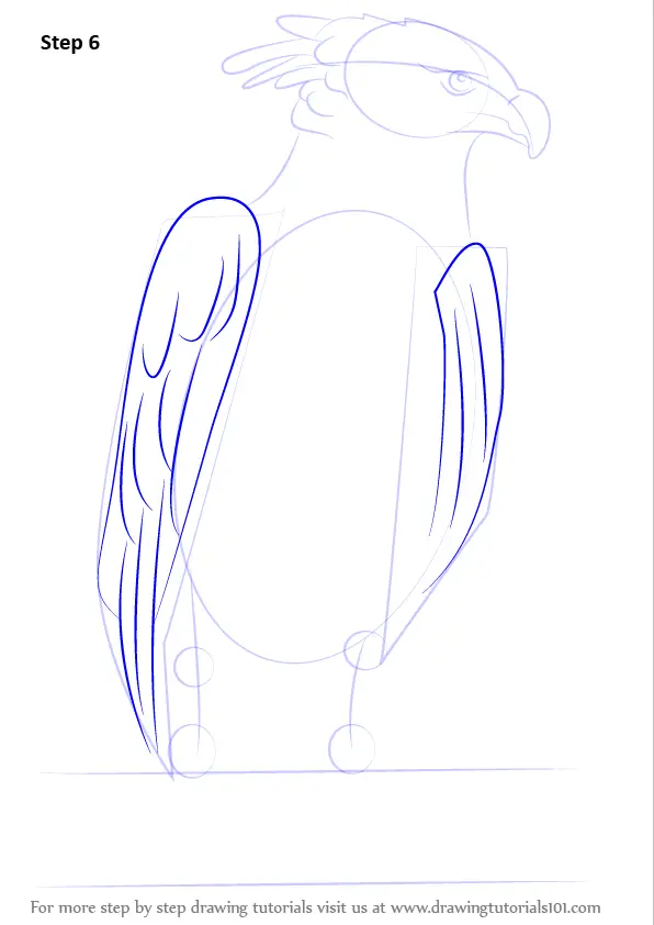 Learn How to Draw a Harpy Eagle (Bird of prey) Step by Step : Drawing