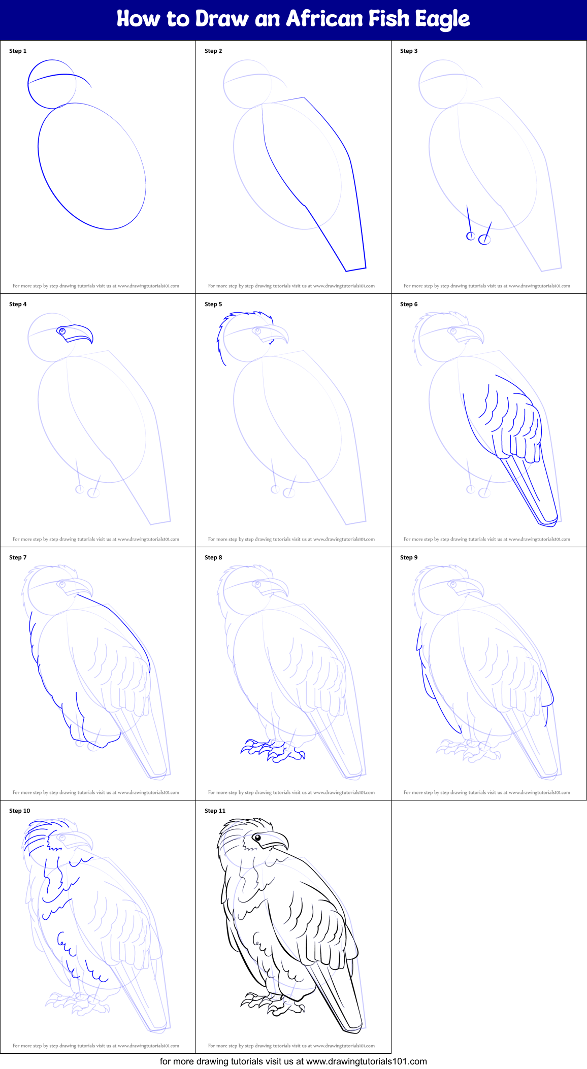 How to Draw an African Fish Eagle printable step by step drawing sheet ...