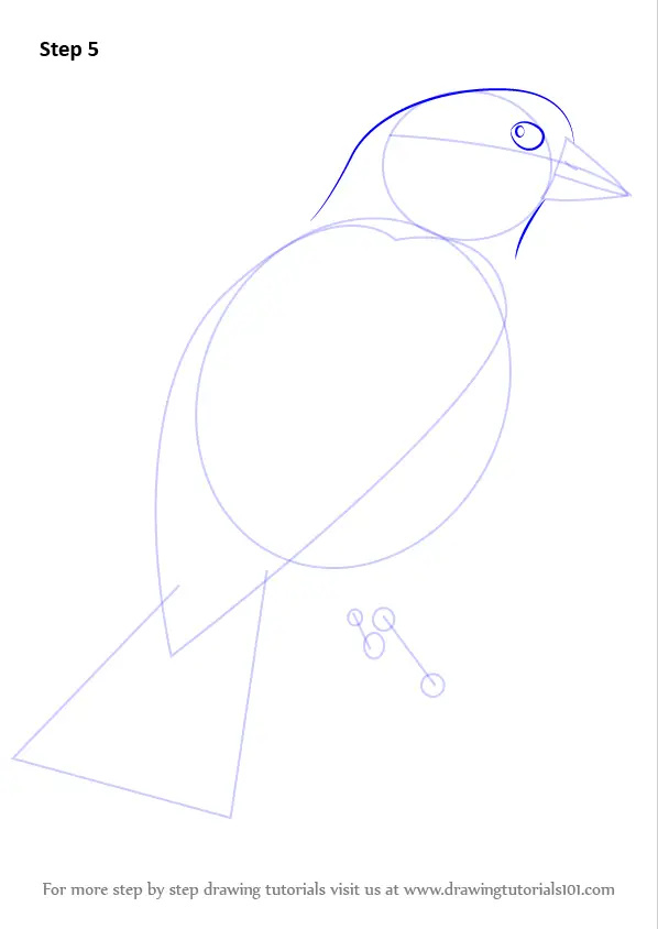 Learn How to Draw an American Goldfinch (Birds) Step by Step : Drawing ...