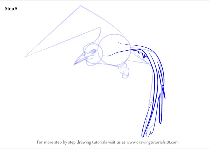 Learn How to Draw a Bird In Flight (Birds) Step by Step : Drawing Tutorials