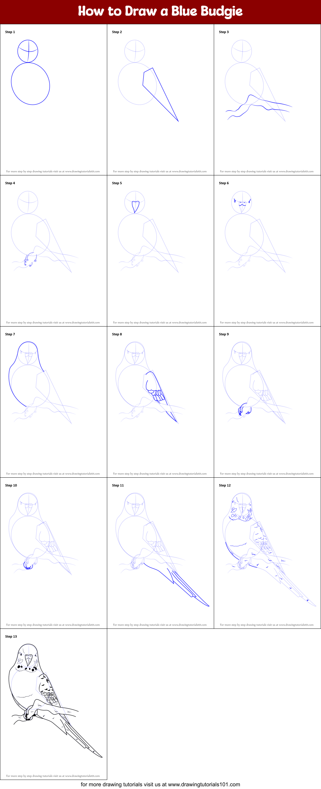 How to Draw a Blue Budgie printable step by step drawing sheet