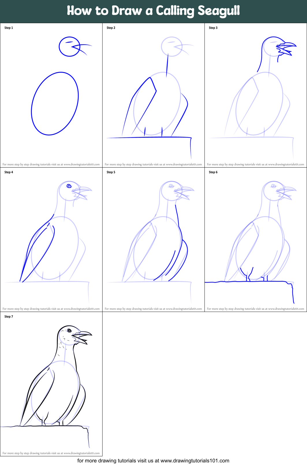 How to Draw a Calling Seagull printable step by step drawing sheet ...