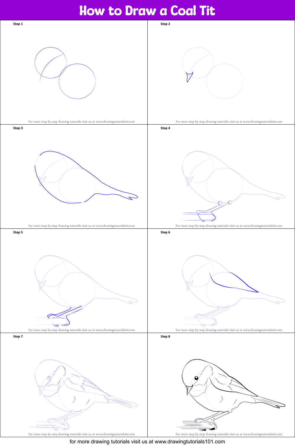 How to Draw a Coal Tit printable step by step drawing sheet