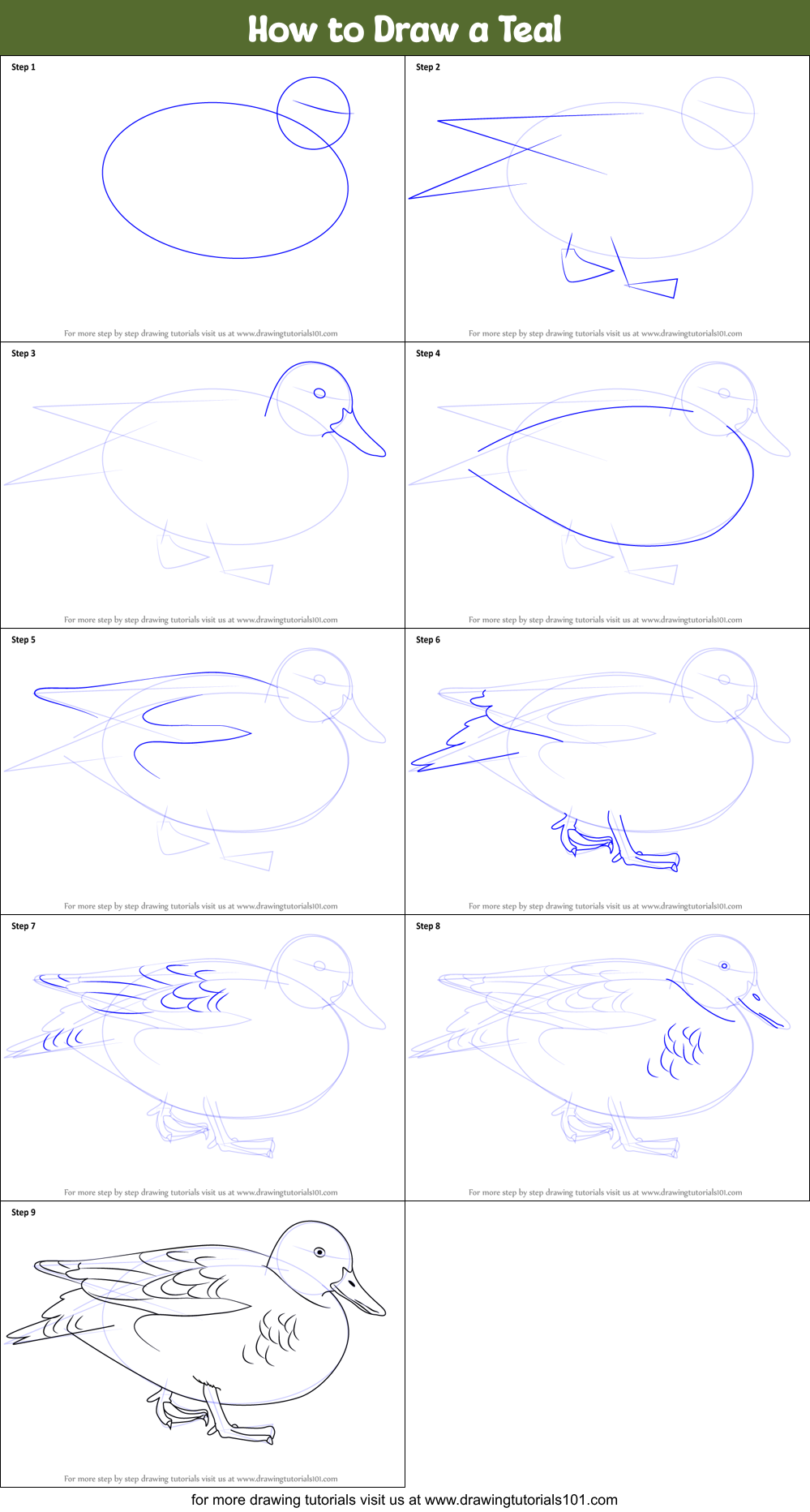 How to Draw a Teal printable step by step drawing sheet