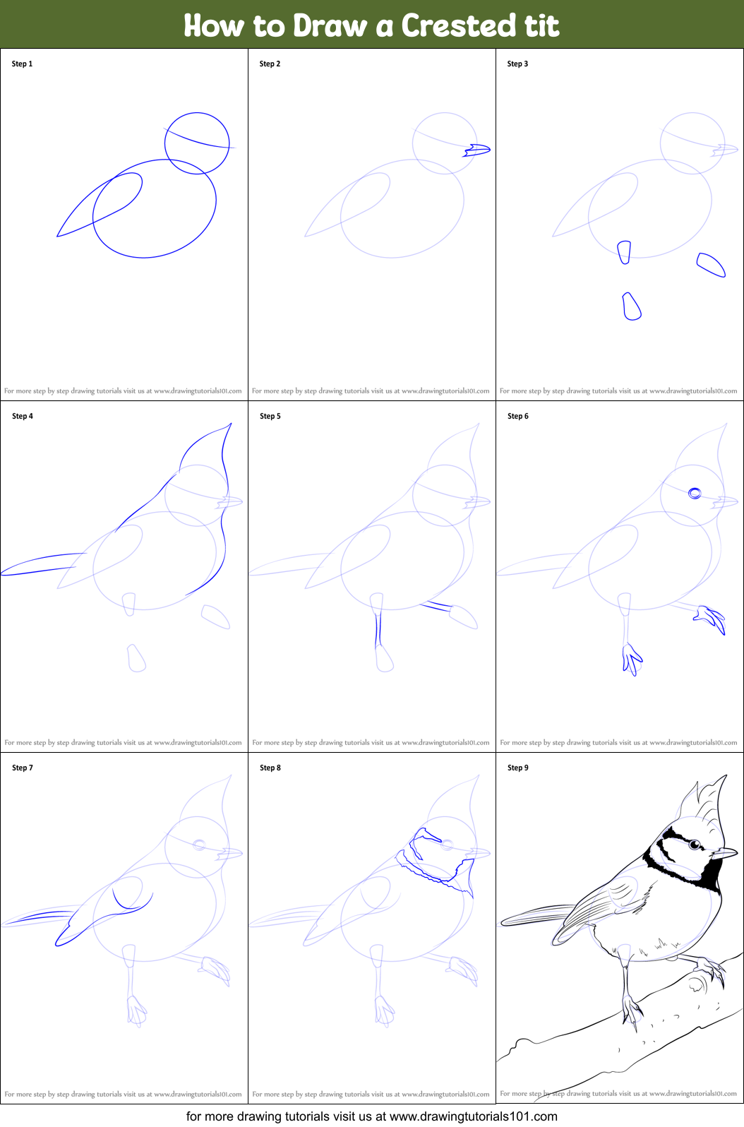 How to Draw a Crested tit printable step by step drawing sheet ...