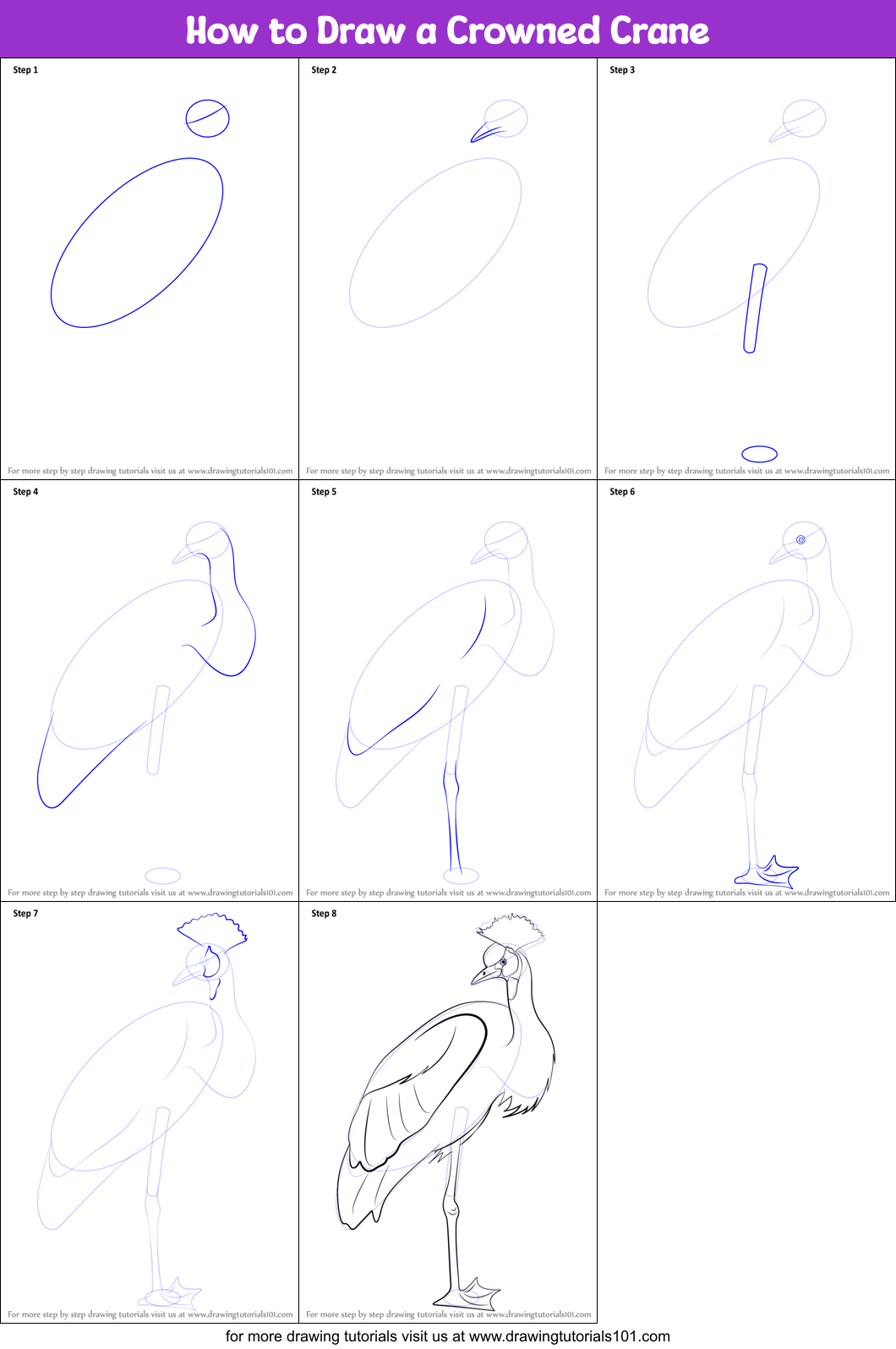 How to Draw a Crowned Crane printable step by step drawing sheet ...